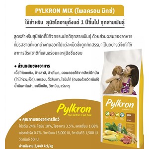 4.Brochure PYLKRON MIX_08022019_103911.jpg